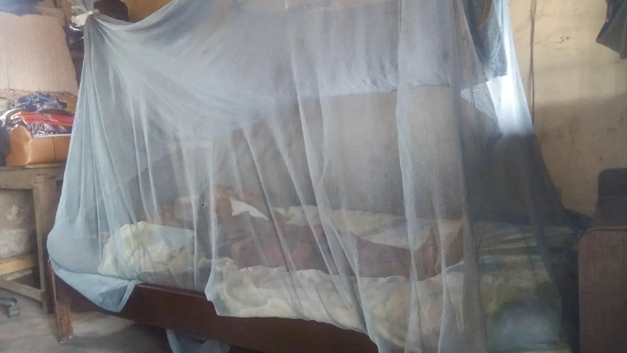 Zanzariera trattata, prevenzione della malaria
