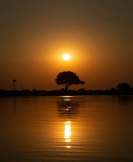 Tramonto arancione su un lago, con un’acacia in controluce