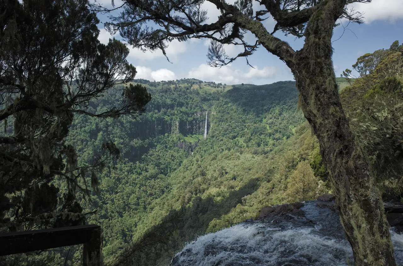 Cascata nel Parco Nazionale degli Aberdare