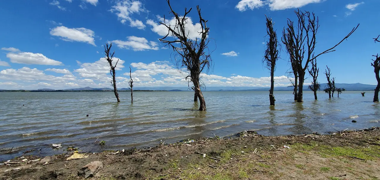 Il Lago Naivasha