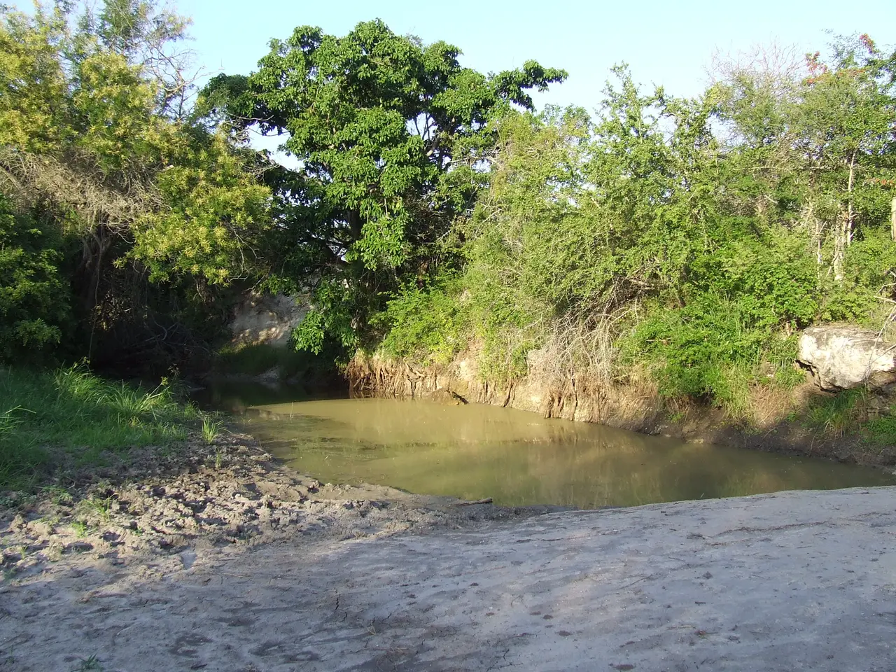 Un corso d’acqua tra la vegetazione nel Parco Nazionale di Mkomazi
