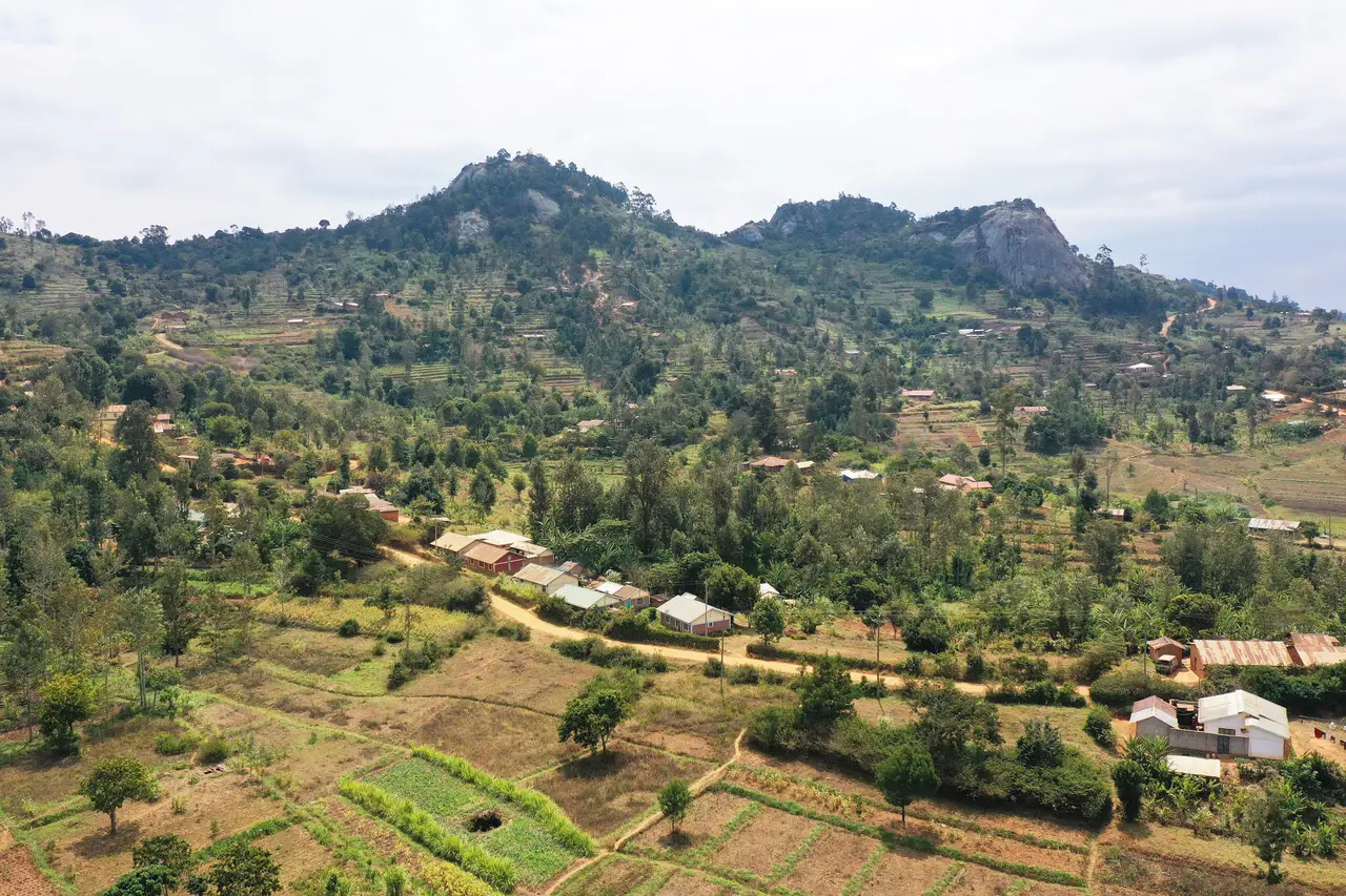 Le Taita Hills