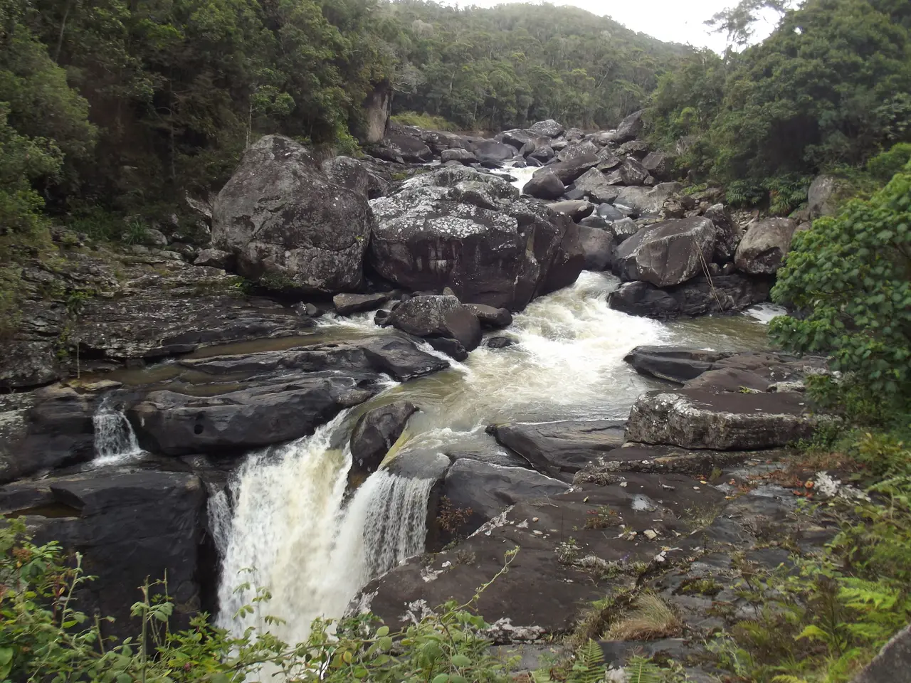 The river at Ranomafana