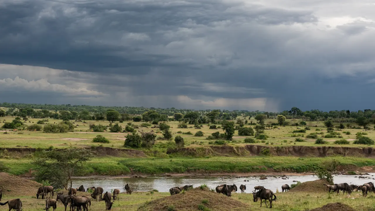 Temporale sul fiume Mara, nel Serengeti