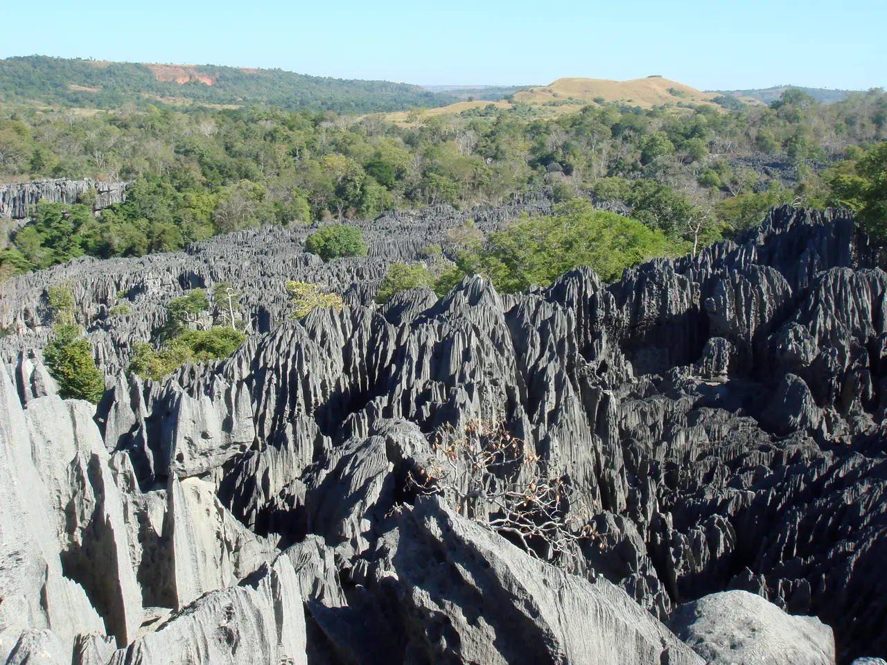 Tsingy di Bemaraha