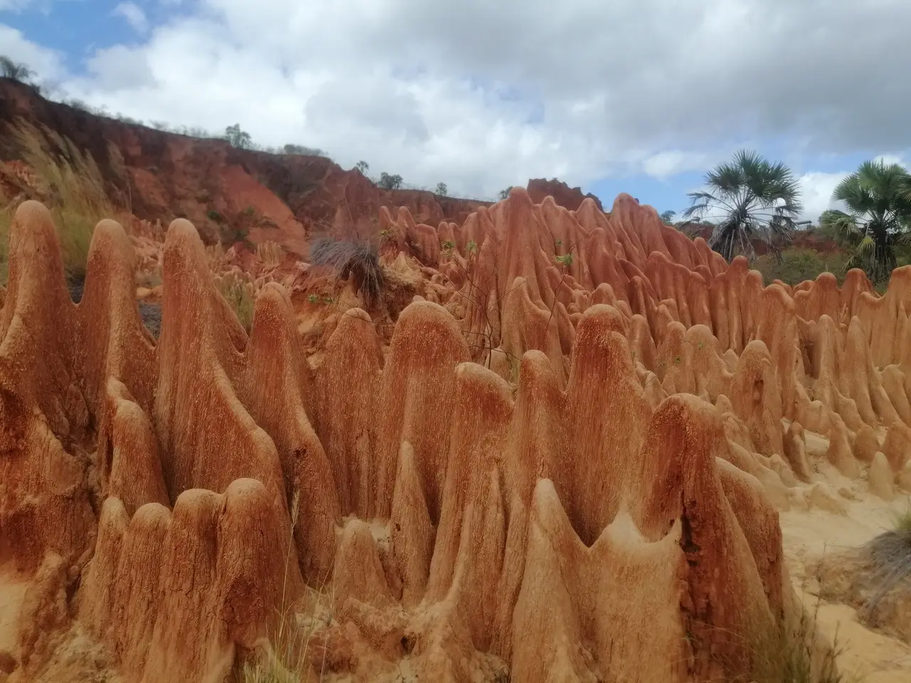 Le guglie di laterite degli Tsingy Rossi