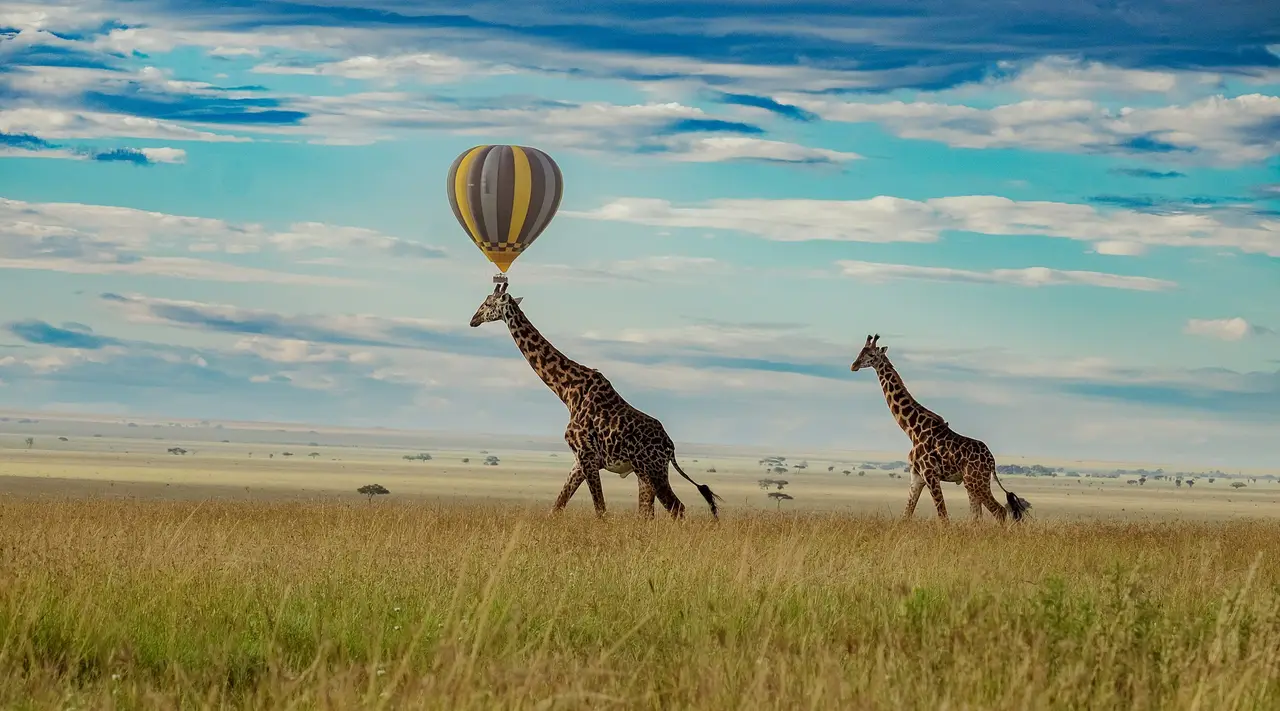 Giraffe nella savana e una mongolfiera in volo