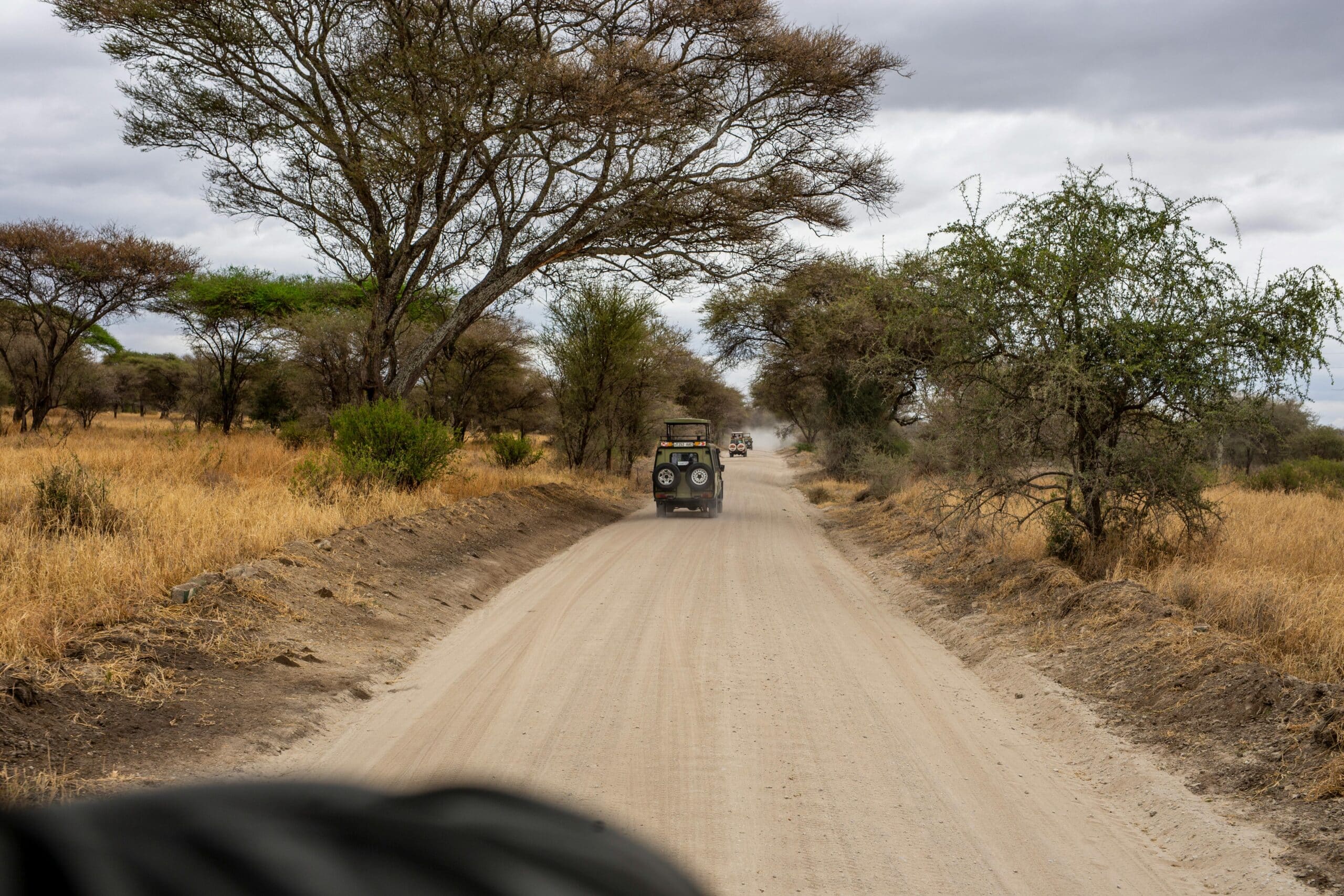7-day Safari in northern Tanzania